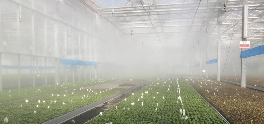 VibroNet vihmutus.jpeg