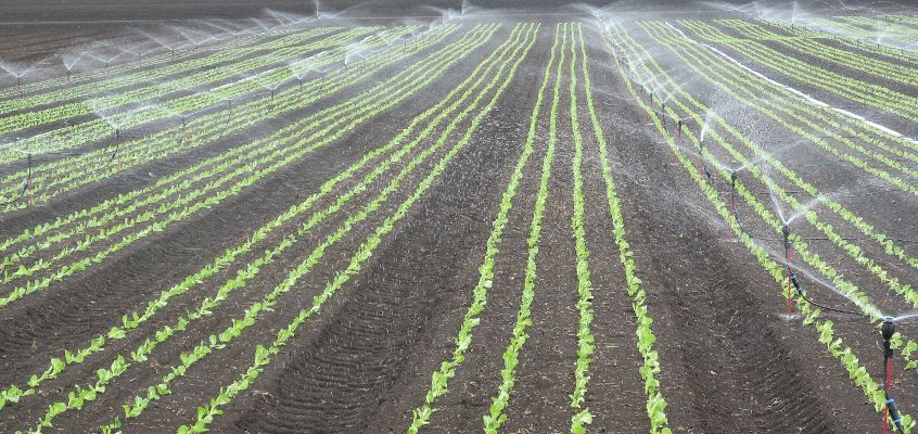 kastmine_meganet 24D_846.jpg